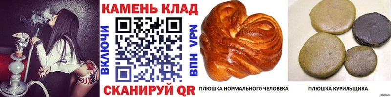 ГАШИШ Cannabis  Карабулак 